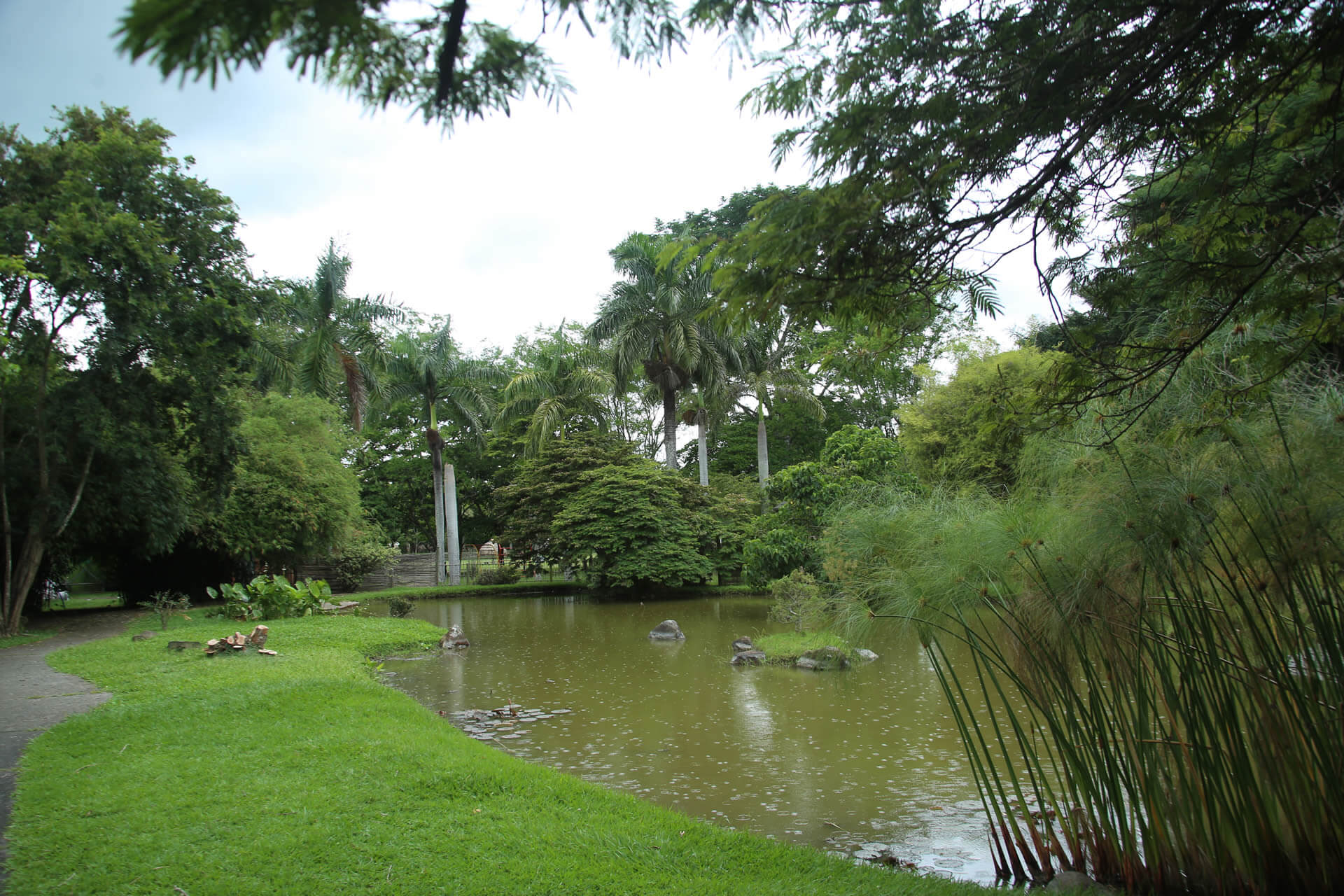 Tulúa